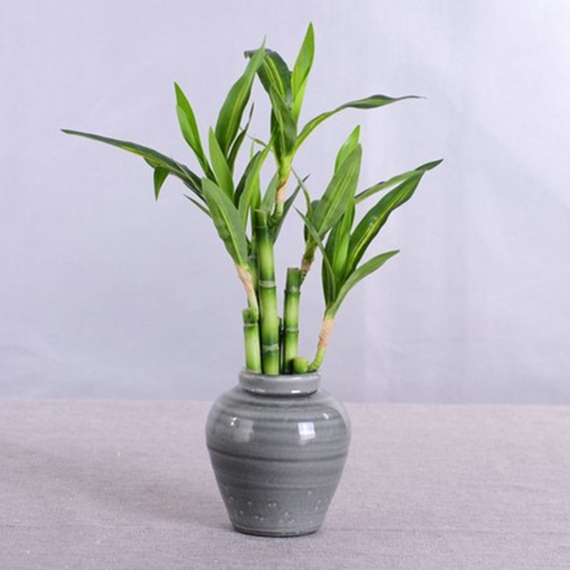 Yeni 40cm Yapay Şanslı Bambu S - Desktop Organizer Bamboo incelemesi ve fiyatı