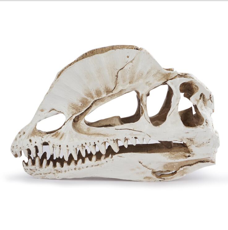 Dilophosaurus Iskelet Modeli R - Home Office Gear incelemesi ve fiyatı