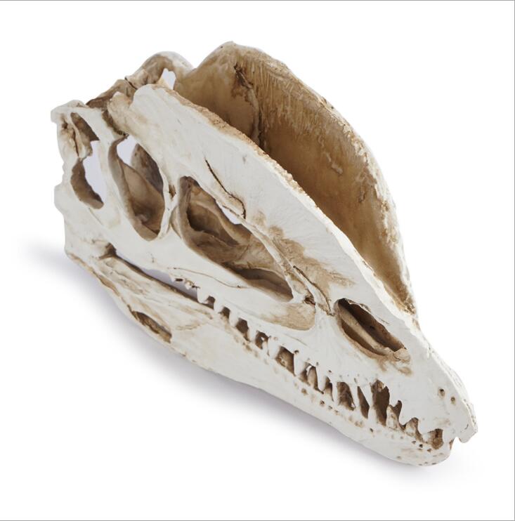 Dilophosaurus Iskelet Modeli R - Home Office Gear incelemesi ve fiyatı