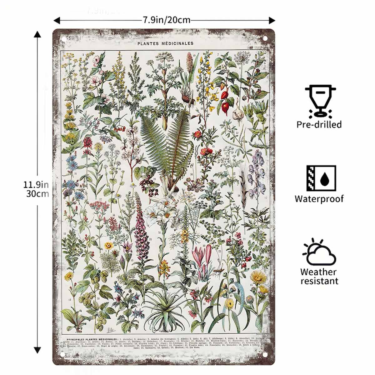 2D DÜZ 1 adet Vintage Tıbbi Bi - Home Office With Plants incelemesi ve fiyatı